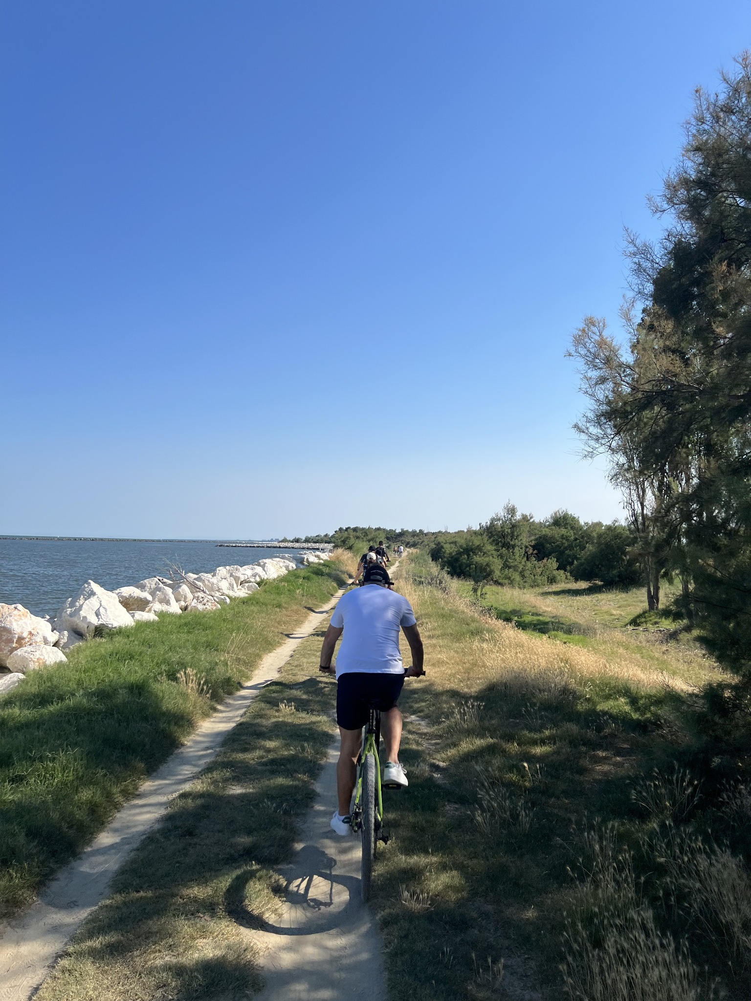 Tempo insieme, mountain bike